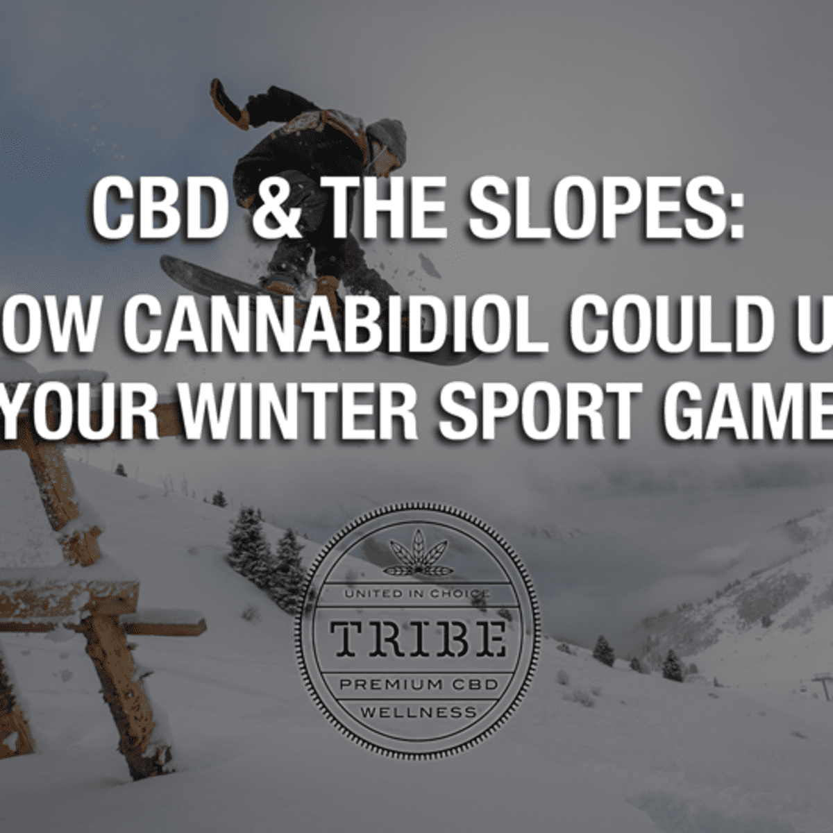 CBD & the Slopes: How Cannabidiol Could Up Your Winter Sport Game -  Snowboarder