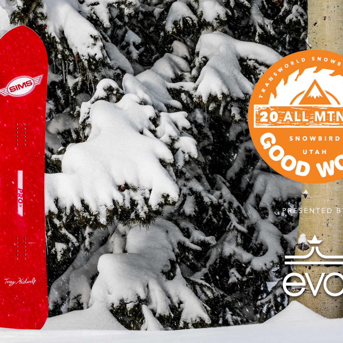 SIMS Kidwell RT2 Snowboard Review: Best Men's All-Mountain 