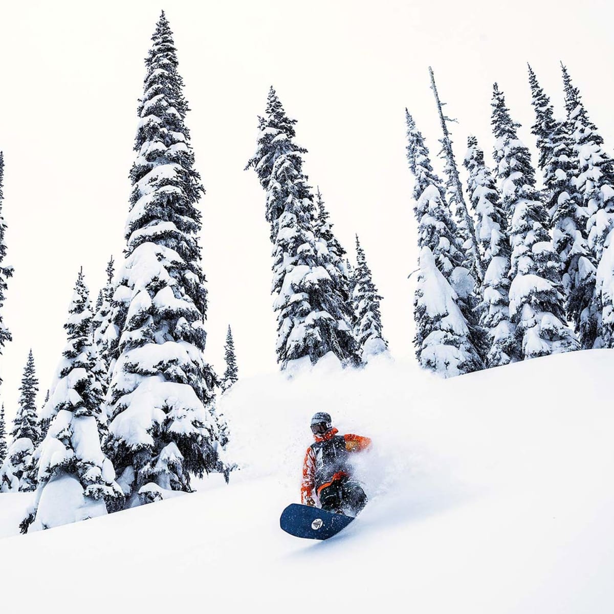 Burton Family Tree Stun Gun: Powder Board Review 2019 - Snowboarder