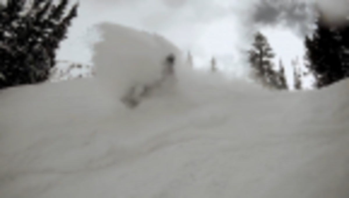 MFM and Stevie Bell Get'n Some Pow at Snowbird | TransWorld ...