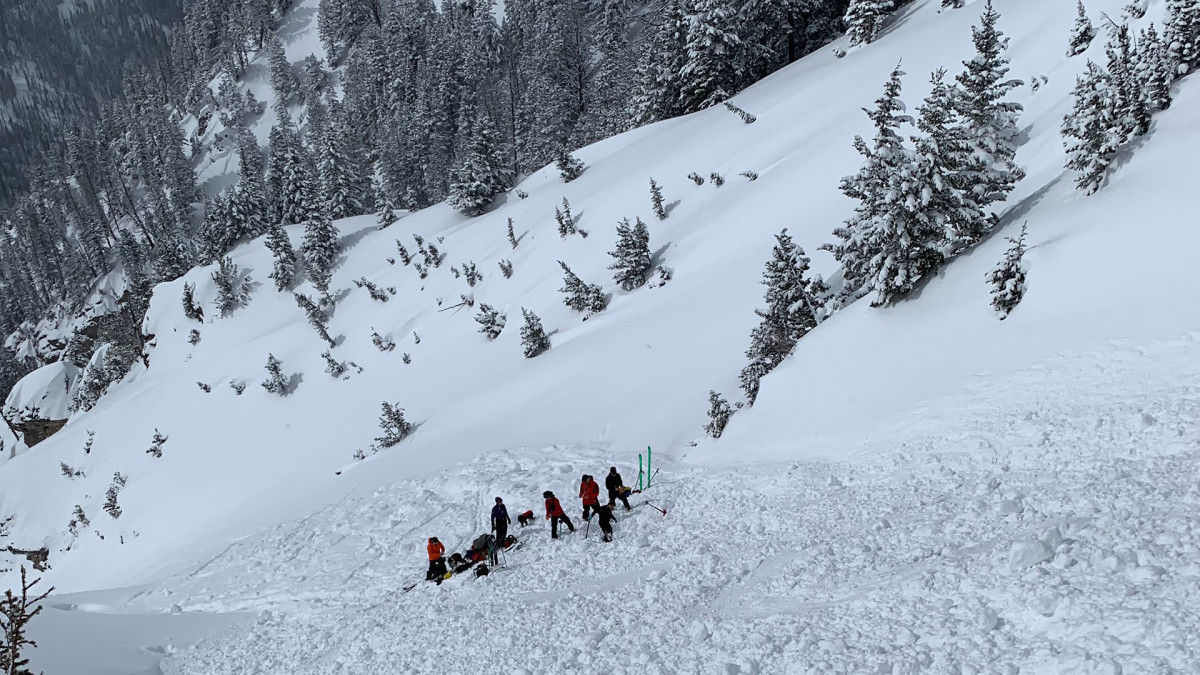 UC Berkeley Alum Killed in Wyoming Avalanche While Skiing