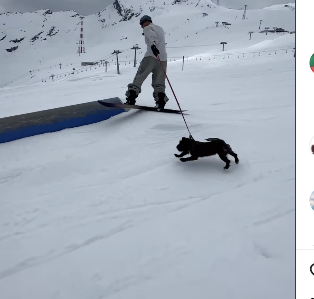 Watch: Pro Snowboarder Laps The Park with His Dog - Snowboarder