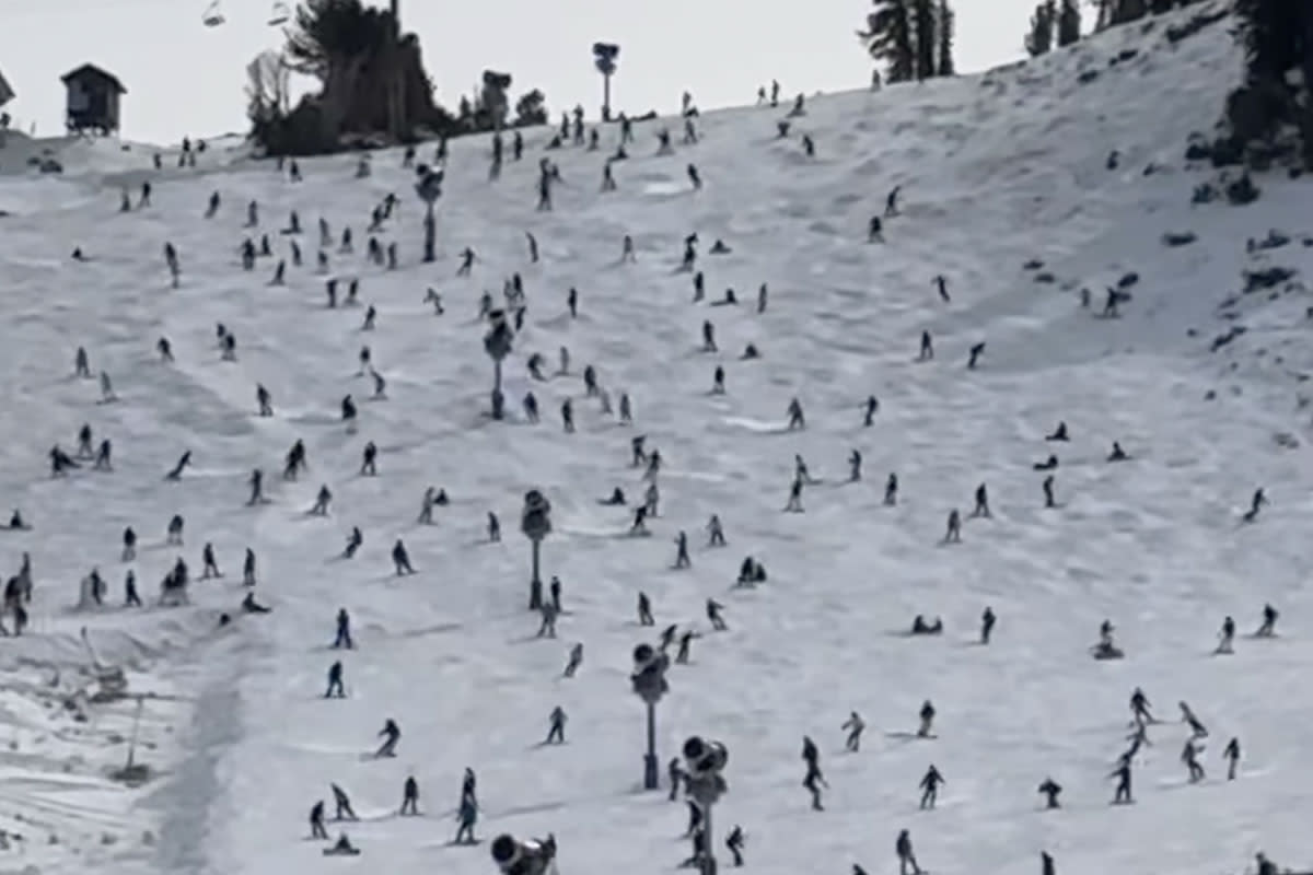 Antsy Shredders Video Reveals Mammoth's Opening Day Buzz Snowboarder